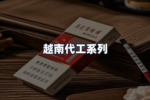 越南代工系列